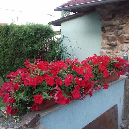Apartmany Na Hline Třeboň Exterior foto